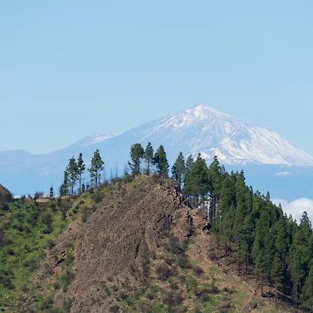 아파트 Living - Nature Adults Only *