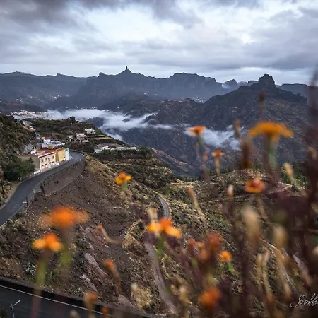 Living - Nature Adults Only 아파트