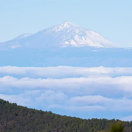 Living - Nature Adults Only *