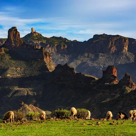 Living - Nature Adults Only * 아르테나라