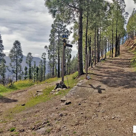 아파트 Living - Nature Adults Only *